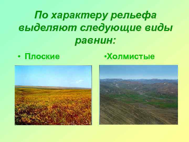 По характеру рельефа выделяют следующие виды равнин: • Плоские • Холмистые 