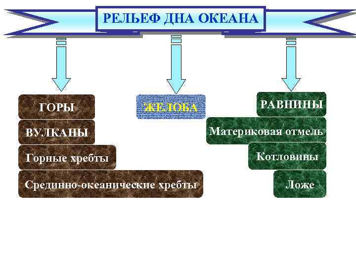 РЕЛЬЕФ ДНА ОКЕАНА ГОРЫ ЖЕЛОБА ВУЛКАНЫ Горные хребты Срединно-океанические хребты РАВНИНЫ Материковая отмель Котловины