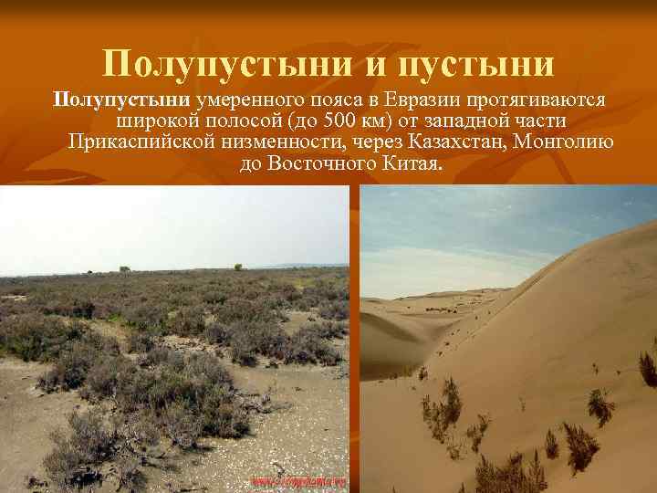 Полупустыни и пустыни Полупустыни умеренного пояса в Евразии протягиваются широкой полосой (до 500 км)