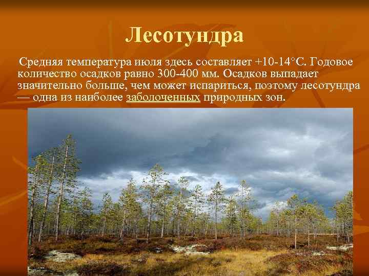 Лесотундра Средняя температура июля здесь составляет +10 -14°С. Годовое количество осадков равно 300 -400