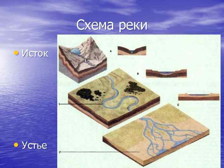 Схема реки • Исток • Устье 