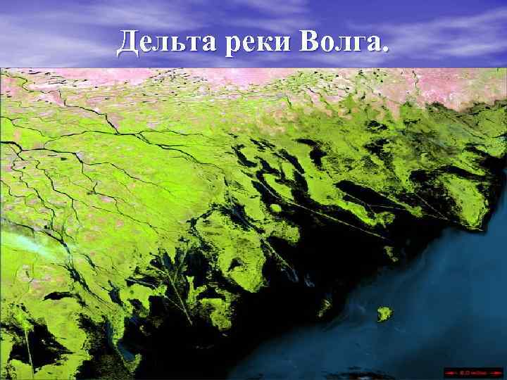 Дельта реки Волга. 
