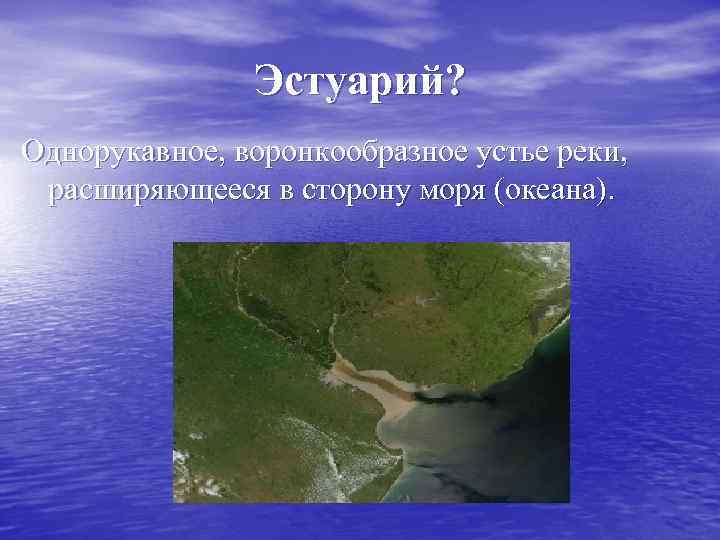 Эстуарий? Однорукавное, воронкообразное устье реки, расширяющееся в сторону моря (океана). 