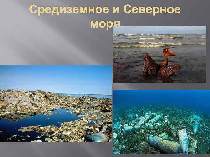 Средиземное и Северное моря 
