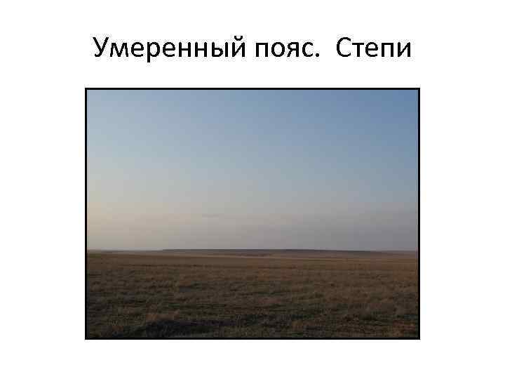 Умеренный пояс. Степи 