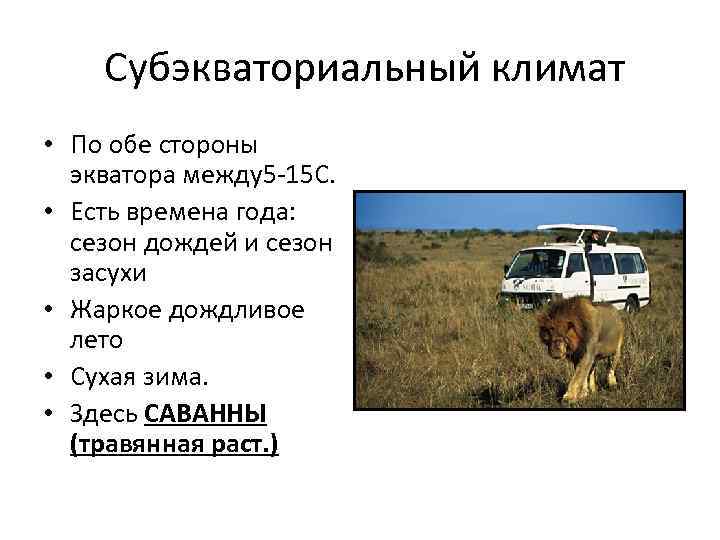 Субэкваториальный климат • По обе стороны экватора между5 -15 C. • Есть времена года: