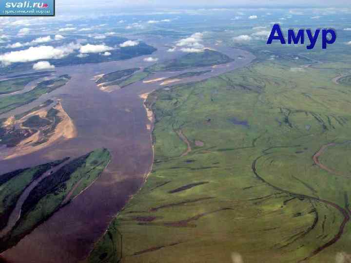 Амур 