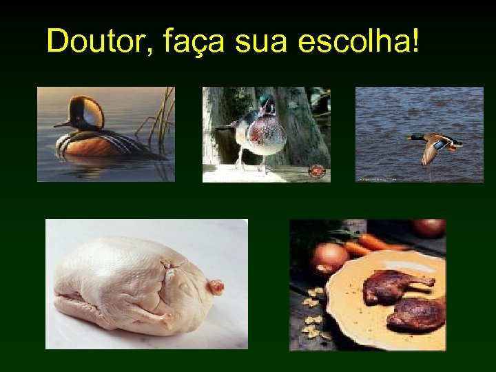 Doutor, faça sua escolha! 