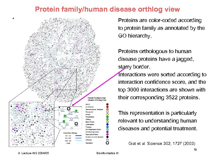 Protein family/human disease orthlog view Proteins are color-coded according to protein family as annotated