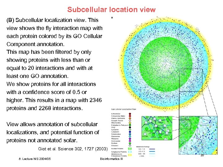 Subcellular location view (B) Subcellular localization view. This view shows the fly interaction map