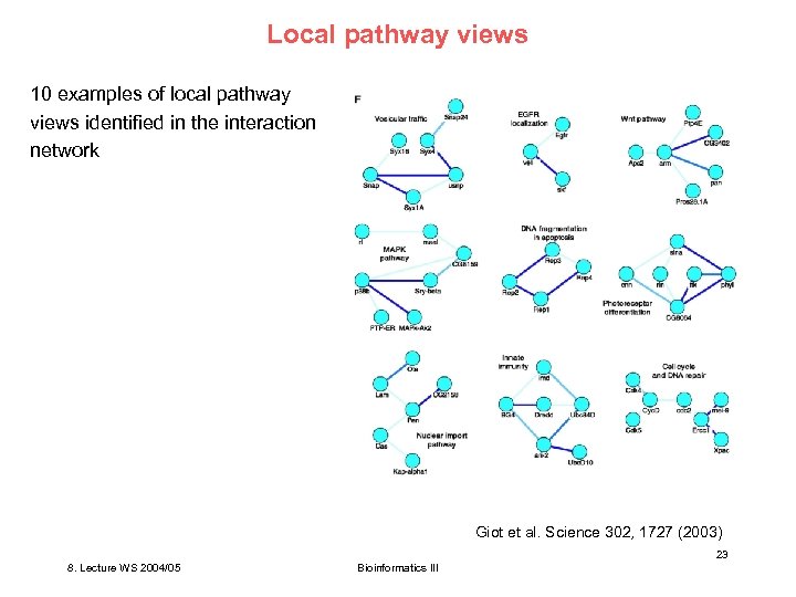 Local pathway views 10 examples of local pathway views identified in the interaction network