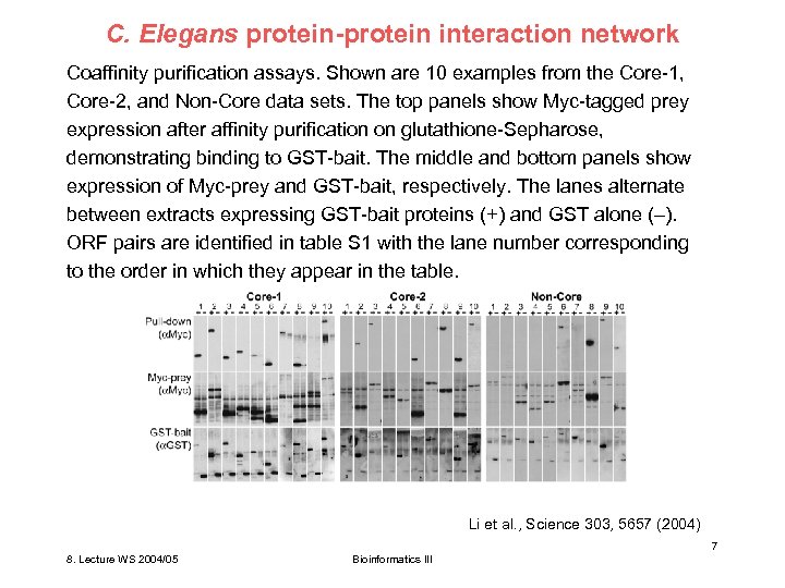 C. Elegans protein-protein interaction network Coaffinity purification assays. Shown are 10 examples from the