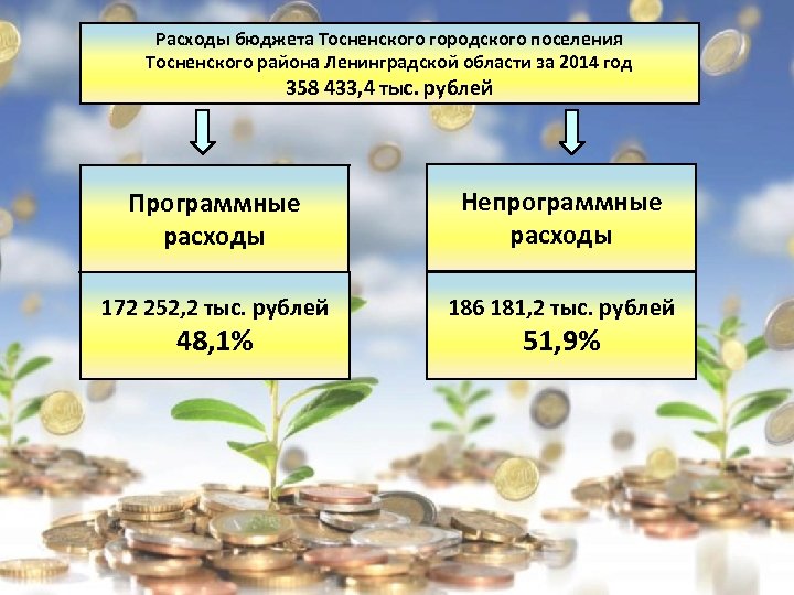 Расходы бюджета Тосненского городского поселения Тосненского района Ленинградской области за 2014 год 358 433,