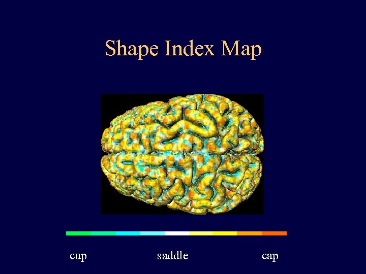 Shape Index Map cup saddle cap 