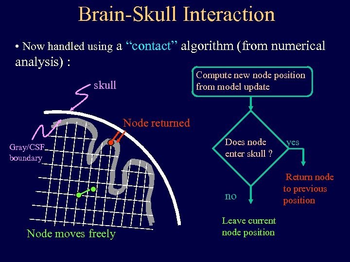 Brain-Skull Interaction • Now handled using a “contact” algorithm (from numerical analysis) : Compute