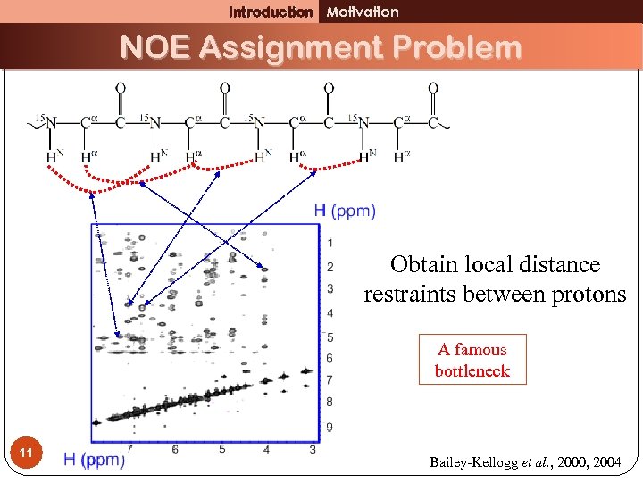 Introduction Motivation NOE Assignment Problem Obtain local distance restraints between protons A famous bottleneck