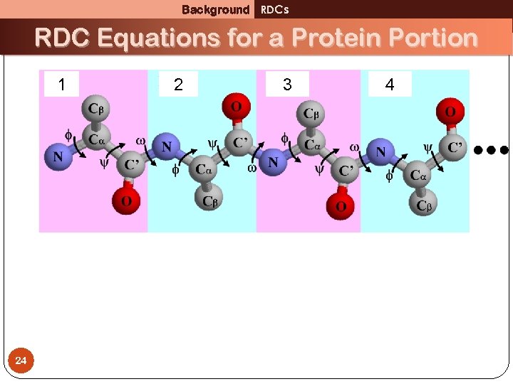 Background RDCs RDC Equations for a Protein Portion 1 24 2 3 4 