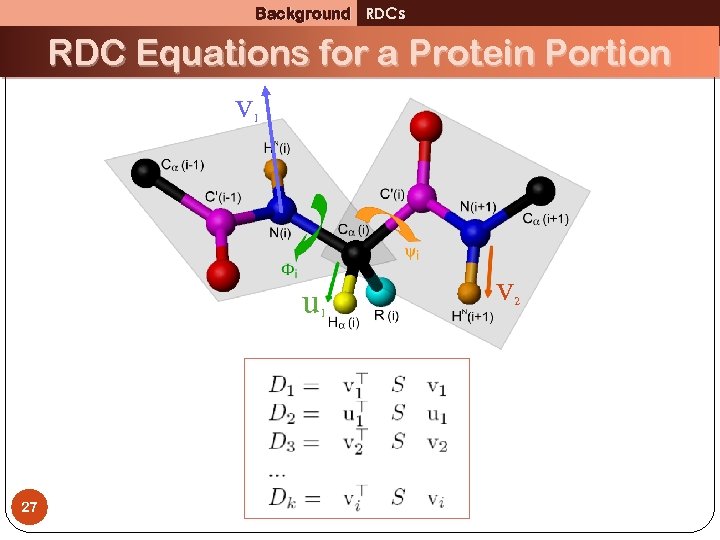 Background RDCs RDC Equations for a Protein Portion v 1 u 1 27 v