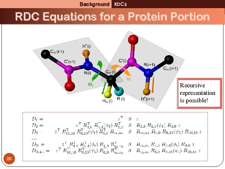 Background RDCs RDC Equations for a Protein Portion Recursive representation is possible! 28 