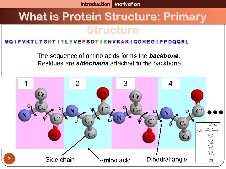 Introduction Motivation What is Protein Structure: Primary Structure The sequence of amino acids forms