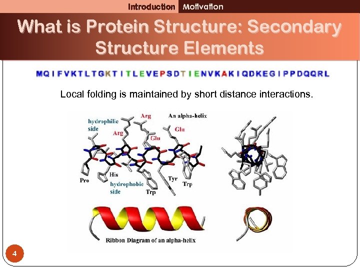 Introduction Motivation What is Protein Structure: Secondary Structure Elements Local folding is maintained by