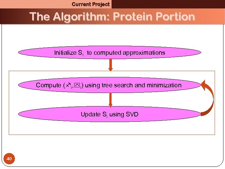 Current Project The Algorithm: Protein Portion Initialize Si to computed approximations Compute ( i,