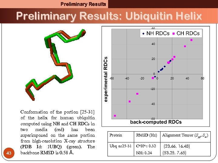 Preliminary Results: Ubiquitin Helix 43 Conformation of the portion [25 -31] of the helix