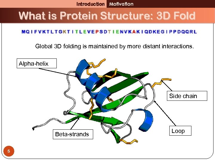 Introduction Motivation What is Protein Structure: 3 D Fold Global 3 D folding is