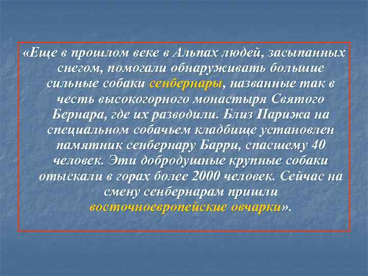  «Еще в прошлом веке в Альпах людей, засыпанных снегом, помогали обнаруживать большие сильные