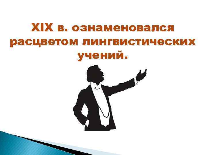 XIX в. ознаменовался расцветом лингвистических учений. 