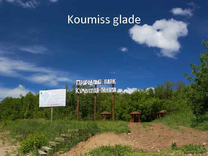 Koumiss glade 