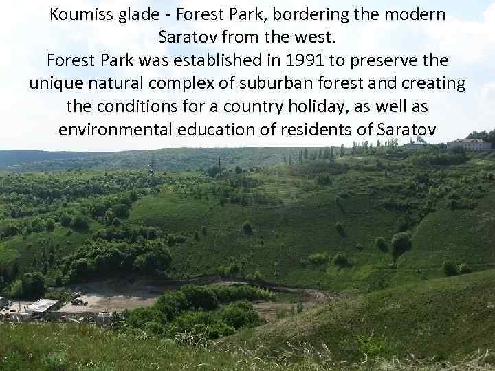 Koumiss glade - Forest Park, bordering the modern Saratov from the west. Forest Park