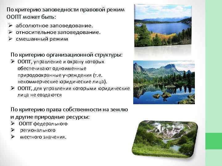 По критерию заповедности правовой режим ООПТ может быть: По критерию организационной структуры: Ø ООПТ,