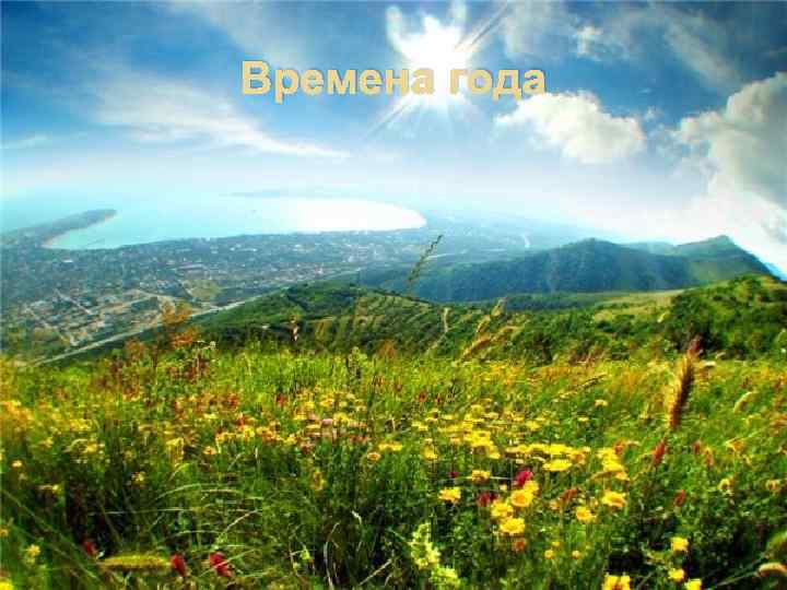 Времена года 