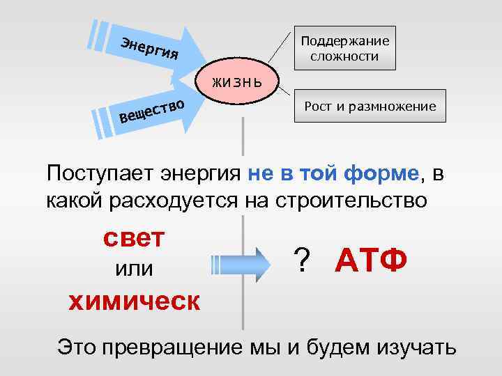 Поддержание сложности Энер гия жизнь во т ещес В Рост и размножение Поступает энергия