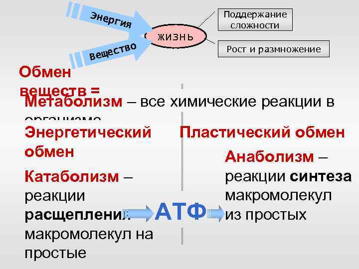 Энер Поддержание сложности гия во щест Ве жизнь Рост и размножение Обмен веществ =