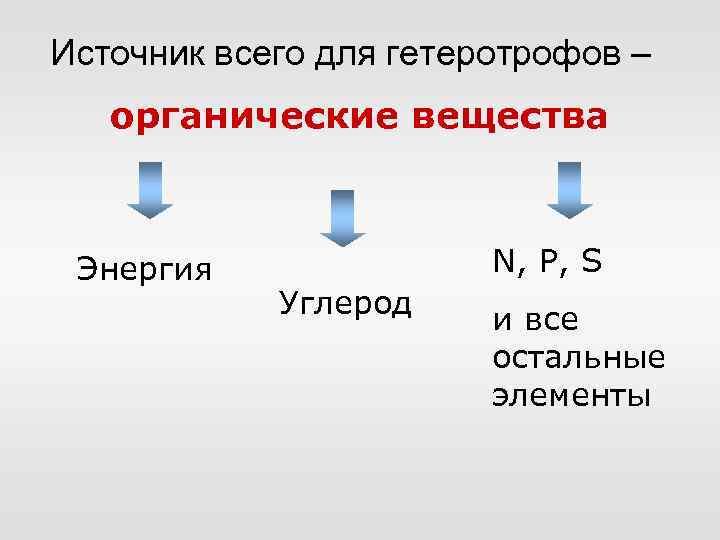 Источник всего для гетеротрофов – органические вещества Энергия N, P, S Углерод и все