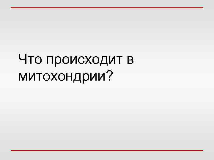 Что происходит в митохондрии? 