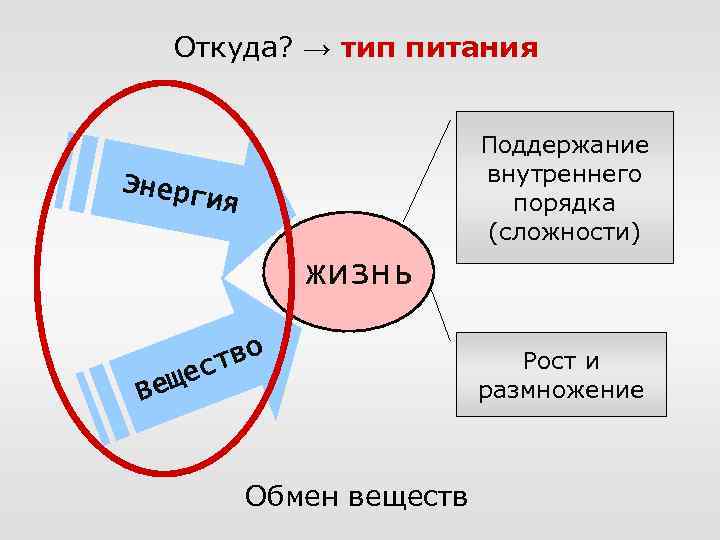 Откуда? → тип питания Поддержание внутреннего порядка (сложности) Энерг ия жизнь Вещ тво ес