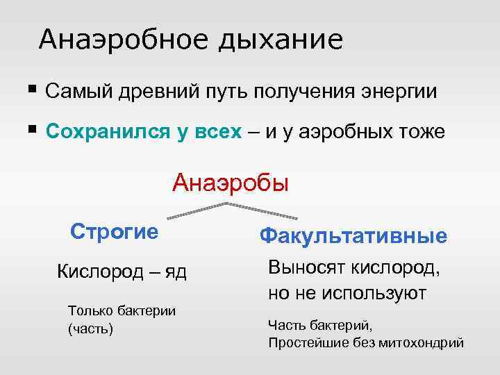 Анаэробное дыхание § Самый древний путь получения энергии § Сохранился у всех – и