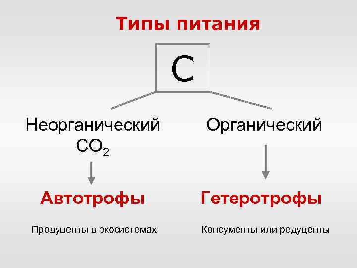 Типы питания C Неорганический СО 2 Органический Автотрофы Гетеротрофы Продуценты в экосистемах Консументы или