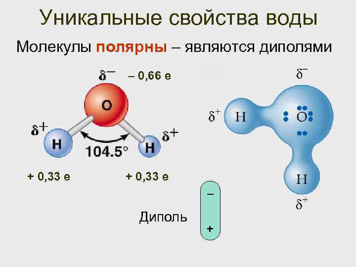 Уникальные свойства воды презентация