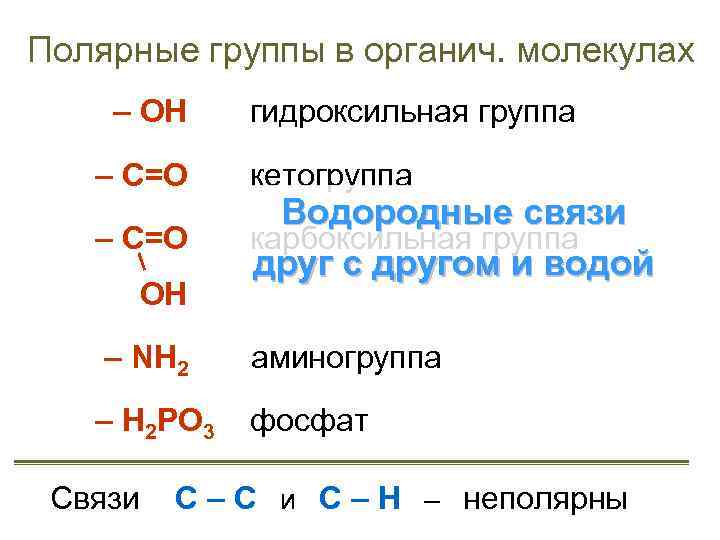 Полярные группы в органич. молекулах – ОН – С=О ОН гидроксильная группа кетогруппа Водородные