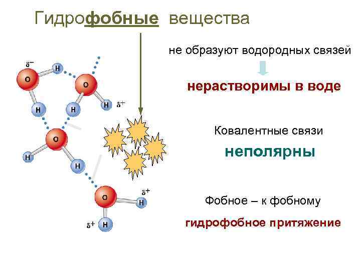 Строение какого из перечисленных веществ схематично отражает рисунок аммиак вода углекислый газ бром