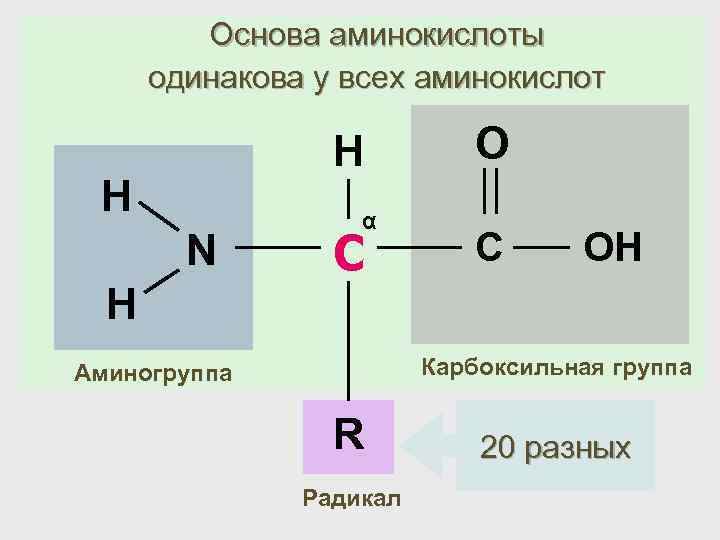 Из чего состоит изображение