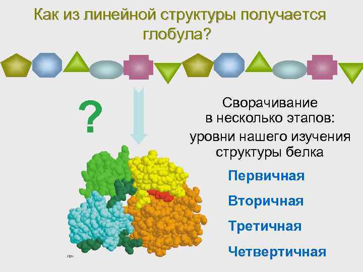 Биомолекула 12 методов в картинках