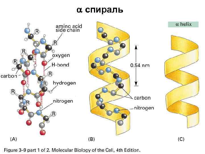  спираль 