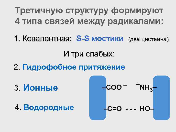 Третичную структуру формируют 4 типа связей между радикалами: 1. Ковалентная: S-S мостики (два цистеина)