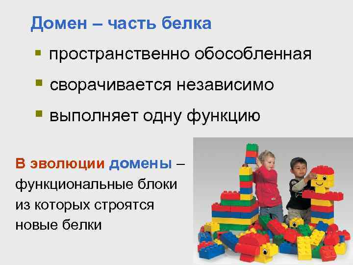 Домен – часть белка § пространственно обособленная § сворачивается независимо § выполняет одну функцию