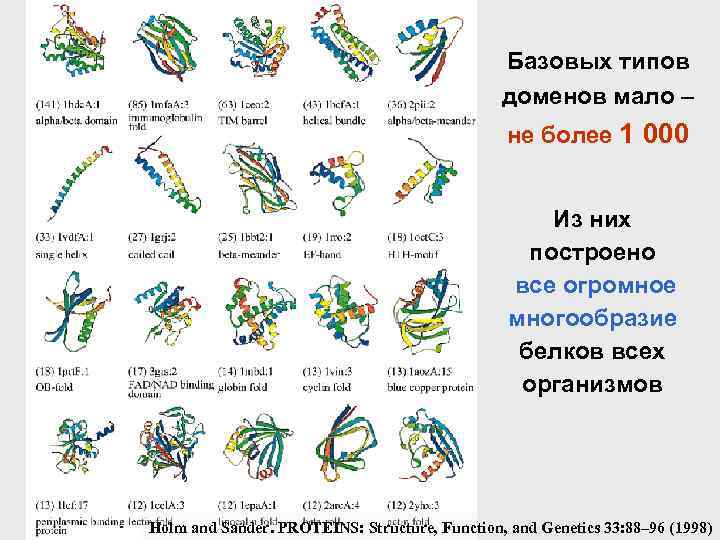 Базовых типов доменов мало – не более 1 000 Из них построено все огромное